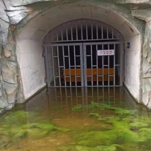 Automatic Flood Barrier without electric power